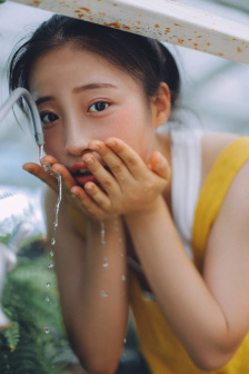 梦与狂想的王国